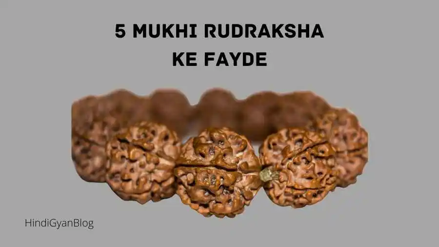 5 mukhi rudraksha benefits in hindi