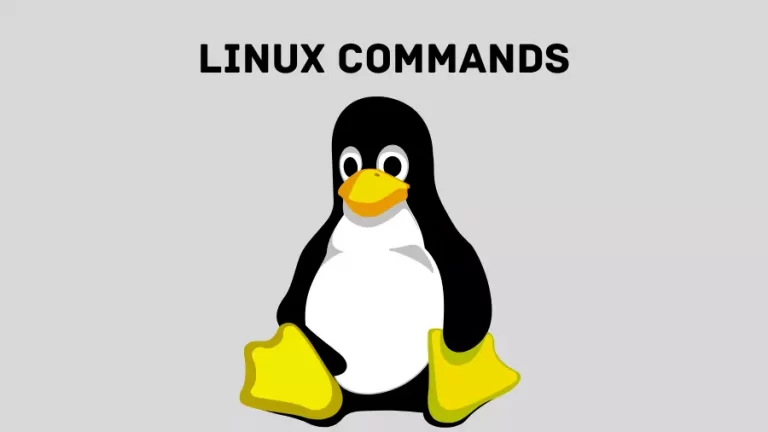linux commands in hindi